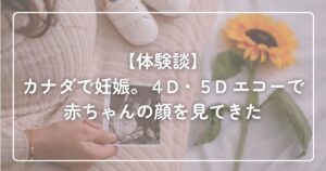 【体験談】カナダで妊娠。4D・5Dエコーで赤ちゃんの顔を見てきた