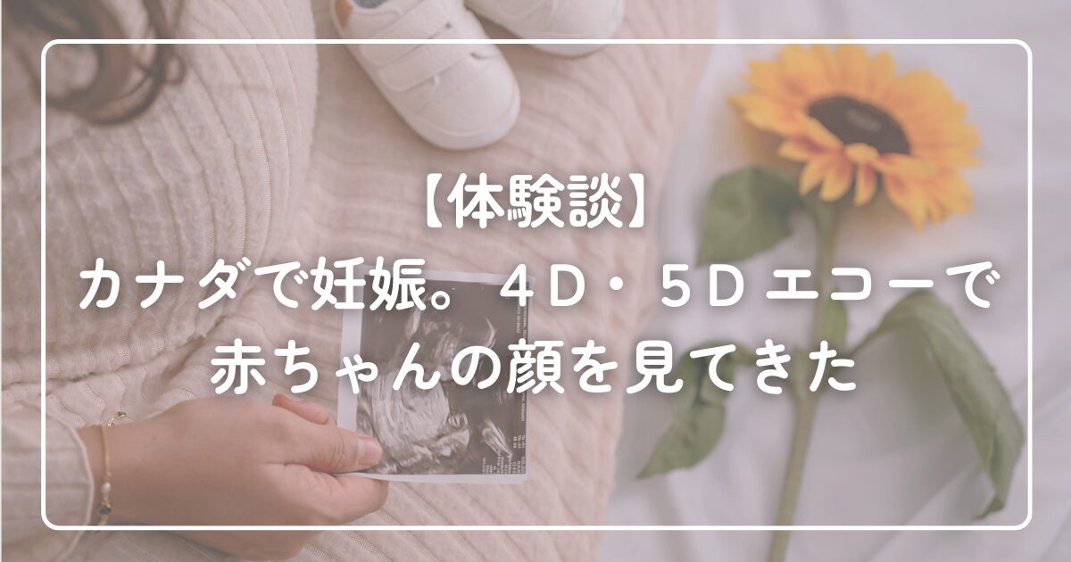 【体験談】カナダで妊娠。4D・5Dエコーで赤ちゃんの顔を見てきた